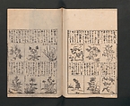 Illustrated Encyclopedia of China (Morokoshi kinmō zui) 唐土訓蒙図彙, Tachibana Morikuni 橘守国 (Japanese, 1679–1748), Set of two woodblock printed books; ink on paper, Japan