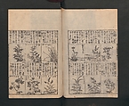 Illustrated Encyclopedia of China (Morokoshi kinmō zui) 唐土訓蒙図彙, Tachibana Morikuni 橘守国 (Japanese, 1679–1748), Set of two woodblock printed books; ink on paper, Japan
