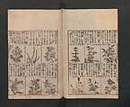 Illustrated Encyclopedia of China (Morokoshi kinmō zui) 唐土訓蒙図彙, Tachibana Morikuni 橘守国 (Japanese, 1679–1748), Set of two woodblock printed books; ink on paper, Japan