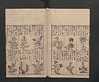 Illustrated Encyclopedia of China (Morokoshi kinmō zui) 唐土訓蒙図彙, Tachibana Morikuni 橘守国 (Japanese, 1679–1748), Set of two woodblock printed books; ink on paper, Japan