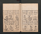 Illustrated Encyclopedia of China (Morokoshi kinmō zui) 唐土訓蒙図彙, Tachibana Morikuni 橘守国 (Japanese, 1679–1748), Set of two woodblock printed books; ink on paper, Japan