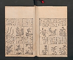 Illustrated Encyclopedia of China (Morokoshi kinmō zui) 唐土訓蒙図彙, Tachibana Morikuni 橘守国 (Japanese, 1679–1748), Set of two woodblock printed books; ink on paper, Japan