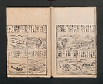 Illustrated Encyclopedia of China (Morokoshi kinmō zui) 唐土訓蒙図彙, Tachibana Morikuni 橘守国 (Japanese, 1679–1748), Set of two woodblock printed books; ink on paper, Japan