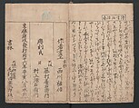 The Mrawing manual: The Evergreens (Ehon Tokiwagusa) 絵本常盤草, Nishikawa Sukenobu 西川祐信 (Japanese, 1671–1750), One volume, black and white, twenty-five double-page sheets; ink on paper, Japan