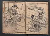 One Hundred Women Classified According to Their Rank (Hyakunin joro shinasadame) 百人女郎品定, Nishikawa Sukenobu 西川祐信 (Japanese, 1671–1750), Vol. I: 9 double and 2 single page illustrations; vol. II: 15 double, 1 single page illustrations; ink on paper, Japan
