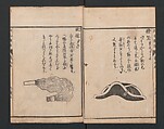 Encyclopedia of Western Art (Kōmō zatsuwa) 紅毛雑話, Morishima Chūryō 森島中 (Japanese, 1754–1810), Ink on paper, Japan