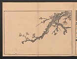 Pictures after Nature (Hokusai shashin gafu)  北斎写真画譜, Katsushika Hokusai 葛飾北斎 (Japanese, Tokyo (Edo) 1760–1849 Tokyo (Edo)), Polychrome woodblock prints in a book; ink and color on paper, Japan
