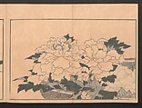 Pictures after Nature (Hokusai shashin gafu)  北斎写真画譜, Katsushika Hokusai 葛飾北斎 (Japanese, Tokyo (Edo) 1760–1849 Tokyo (Edo)), Polychrome woodblock prints in a book; ink and color on paper, Japan