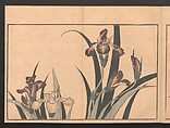 Pictures after Nature (Hokusai shashin gafu)  北斎写真画譜, Katsushika Hokusai 葛飾北斎 (Japanese, Tokyo (Edo) 1760–1849 Tokyo (Edo)), Polychrome woodblock prints in a book; ink and color on paper, Japan