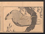 Pictures after Nature (Hokusai shashin gafu)  北斎写真画譜, Katsushika Hokusai 葛飾北斎 (Japanese, Tokyo (Edo) 1760–1849 Tokyo (Edo)), Polychrome woodblock prints in a book; ink and color on paper, Japan