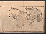 Pictures after Nature (Hokusai shashin gafu)  北斎写真画譜, Katsushika Hokusai 葛飾北斎 (Japanese, Tokyo (Edo) 1760–1849 Tokyo (Edo)), Polychrome woodblock prints in a book; ink and color on paper, Japan