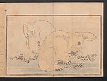 Pictures after Nature (Hokusai shashin gafu)  北斎写真画譜, Katsushika Hokusai 葛飾北斎 (Japanese, Tokyo (Edo) 1760–1849 Tokyo (Edo)), Polychrome woodblock prints in a book; ink and color on paper, Japan