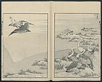 One Hundred Views of Mount Fuji (Fugaku Hyakkei shohen) 富嶽百景 初編, Katsushika Hokusai 葛飾北斎 (Japanese, Tokyo (Edo) 1760–1849 Tokyo (Edo)), Woodblock print; ink on paper, Japan