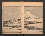 Mount Fuji of the Bamboo Grove, from One Hundred Views of Mount Fuji (Fugaku Hyakkei nihen), Katsushika Hokusai 葛飾北斎 (Japanese, Tokyo (Edo) 1760–1849 Tokyo (Edo)), Two volumes; woodblock print; ink on paper, Japan
