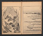 Mount Fuji of the Bamboo Grove, from One Hundred Views of Mount Fuji (Fugaku Hyakkei nihen), Katsushika Hokusai 葛飾北斎 (Japanese, Tokyo (Edo) 1760–1849 Tokyo (Edo)), Two volumes; woodblock print; ink on paper, Japan