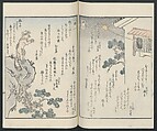 Poems on One Hundred Ghost Stories (Kyōka hyaku monogatari) 狂歌百物語, Masazumi Ryusai 正澄竜斎 (Japanese, active 19th century), Polychrome woodblock printed book; ink and color on paper, Japan