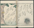 Poems on One Hundred Ghost Stories (Kyōka hyaku monogatari) 狂歌百物語, Masazumi Ryusai 正澄竜斎 (Japanese, active 19th century), Polychrome woodblock printed book; ink and color on paper, Japan