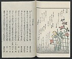 Poems on One Hundred Ghost Stories (Kyōka hyaku monogatari) 狂歌百物語, Masazumi Ryusai 正澄竜斎 (Japanese, active 19th century), Polychrome woodblock printed book; ink and color on paper, Japan