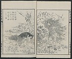 Sketches by Sensai Eitaku (Sensai Eitaku gafu) 鮮斎永濯画譜, Sensai, Eitaku  鮮斎永濯, Ink on paper, Japan