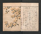 Picture Book of Flowers of the Four Seasons (Ehon shiki no hana) 絵本四季花, Kitagawa Utamaro 喜多川歌麿 (Japanese, ca. 1754–1806), Set of two polychrome woodblock printed books; ink and color on paper, Japan
