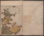 Picture Book of Flowers of the Four Seasons (Ehon shiki no hana) 絵本四季花, Kitagawa Utamaro 喜多川歌麿 (Japanese, ca. 1754–1806), Set of two polychrome woodblock printed books; ink and color on paper, Japan