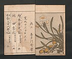 Picture Book of Flowers of the Four Seasons (Ehon shiki no hana) 絵本四季花, Kitagawa Utamaro 喜多川歌麿 (Japanese, ca. 1754–1806), Set of two polychrome woodblock printed books; ink and color on paper, Japan
