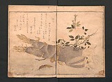 Picture Book of Crawling Creatures (The Insect Book) (Ehon mushi erami) 画本虫撰, Kitagawa Utamaro (Japanese, ca. 1754–1806), One from a set of two polychrome woodblock printed books; ink and color on paper, Japan