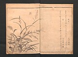 Picture Book of Crawling Creatures (The Insect Book) (Ehon mushi erami) 画本虫撰, Kitagawa Utamaro (Japanese, ca. 1754–1806), One from a set of two polychrome woodblock printed books; ink and color on paper, Japan