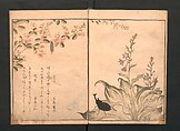 Picture Book of Crawling Creatures (The Insect Book) (Ehon mushi erami) 画本虫撰, Kitagawa Utamaro (Japanese, ca. 1754–1806), One from a set of two polychrome woodblock printed books; ink and color on paper, Japan