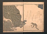 Picture Book of Crawling Creatures (The Insect Book) (Ehon mushi erami) 画本虫撰, Kitagawa Utamaro (Japanese, ca. 1754–1806), One from a set of two polychrome woodblock printed books; ink and color on paper, Japan
