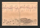 Kitagawa Utamaro 喜多川歌麿 | Gifts from the Ebb-Tide (The