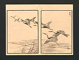 Bairei Picture Album of One Hundred Birds (Bairei hyakuchō gafu), Kōno Bairei 幸野楳嶺 (Japanese, 1844–1895), Set of three polychrome woodblock printed books; ink and color on paper, Japan