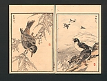 Bairei Picture Album of One Hundred Birds (Bairei hyakuchō gafu) 楳嶺百鳥畫譜, Kōno Bairei  幸野楳嶺 (Japanese, 1844–1895), Set of three polychrome woodblock printed books; ink and color on paper, Japan