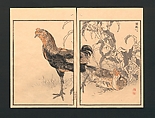 Bairei Picture Album of One Hundred Birds (Bairei hyakuchō gafu) 楳嶺百鳥畫譜, Kōno Bairei  幸野楳嶺 (Japanese, 1844–1895), Set of three polychrome woodblock printed books; ink and color on paper, Japan
