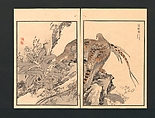 Bairei Picture Album of One Hundred Birds (Bairei hyakuchō gafu) 楳嶺百鳥畫譜, Kōno Bairei  幸野楳嶺 (Japanese, 1844–1895), Set of three polychrome woodblock printed books; ink and color on paper, Japan