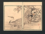 Bairei Picture Album of One Hundred Birds (Bairei hyakuchō gafu) 楳嶺百鳥畫譜, Kōno Bairei  幸野楳嶺 (Japanese, 1844–1895), Set of three polychrome woodblock printed books; ink and color on paper, Japan