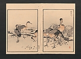 Bairei Picture Album of One Hundred Birds (Bairei hyakuchō gafu) 楳嶺百鳥畫譜, Kōno Bairei  幸野楳嶺 (Japanese, 1844–1895), Set of three polychrome woodblock printed books; ink and color on paper, Japan