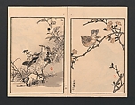 Bairei Picture Album of One Hundred Birds (Bairei hyakuchō gafu) 楳嶺百鳥畫譜, Kōno Bairei  幸野楳嶺 (Japanese, 1844–1895), Set of three polychrome woodblock printed books; ink and color on paper, Japan
