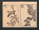 Bairei Picture Album of One Hundred Birds (Bairei hyakuchō gafu) 楳嶺百鳥畫譜, Kōno Bairei  幸野楳嶺 (Japanese, 1844–1895), Set of three polychrome woodblock printed books; ink and color on paper, Japan