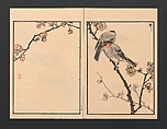 Bairei Picture Album of One Hundred Birds (Bairei hyakuchō gafu) 楳嶺百鳥畫譜, Kōno Bairei  幸野楳嶺 (Japanese, 1844–1895), Set of three polychrome woodblock printed books; ink and color on paper, Japan