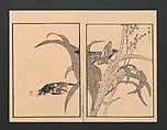 Bairei Picture Album of One Hundred Birds (Bairei hyakuchō gafu) 楳嶺百鳥畫譜, Kōno Bairei  幸野楳嶺 (Japanese, 1844–1895), Set of three polychrome woodblock printed books; ink and color on paper, Japan