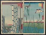 Hatsune Riding Ground, from the series One Hundred Famous Views of Edo  (Meisho Edo hyakkei) 名所江戸百景), Utagawa Hiroshige 歌川広重 (Japanese, Tokyo (Edo) 1797–1858 Tokyo (Edo)), Polychrome woodblock printed book; ink and color on paper, Japan