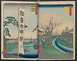 Hatsune Riding Ground, from the series One Hundred Famous Views of Edo  (Meisho Edo hyakkei) 名所江戸百景), Utagawa Hiroshige 歌川広重 (Japanese, Tokyo (Edo) 1797–1858 Tokyo (Edo)), Polychrome woodblock printed book; ink and color on paper, Japan