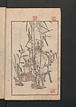 Suiseki Picture Album (Suiseki gafu) 水石画譜, Satō Suiseki 佐藤水石 (Japanese, active 1806–40), Woodblock printed book; ink and color on paper, Japan