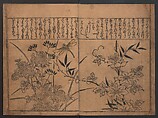 Illustrations of Birds and Flowers (Kachō e-zukushi) 花鳥絵づくし, Hishikawa Moronobu 菱川師宣 (Japanese, 1618–1694), Woodblock printed book; ink and color on paper, Japan