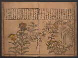 Illustrations of Birds and Flowers (Kachō e-zukushi) 花鳥絵づくし, Hishikawa Moronobu 菱川師宣 (Japanese, 1618–1694), Woodblock printed book; ink and color on paper, Japan