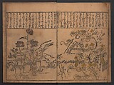 Illustrations of Birds and Flowers (Kachō e-zukushi) 花鳥絵づくし, Hishikawa Moronobu 菱川師宣 (Japanese, 1618–1694), Woodblock printed book; ink and color on paper, Japan