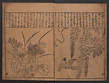 Illustrations of Birds and Flowers (Kachō e-zukushi) 花鳥絵づくし, Hishikawa Moronobu 菱川師宣 (Japanese, 1618–1694), Woodblock printed book; ink and color on paper, Japan