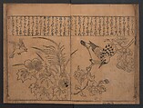 Illustrations of Birds and Flowers (Kachō e-zukushi) 花鳥絵づくし, Hishikawa Moronobu 菱川師宣 (Japanese, 1618–1694), Woodblock printed book; ink and color on paper, Japan
