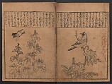 Illustrations of Birds and Flowers (Kachō e-zukushi) 花鳥絵づくし, Hishikawa Moronobu 菱川師宣 (Japanese, 1618–1694), Woodblock printed book; ink and color on paper, Japan
